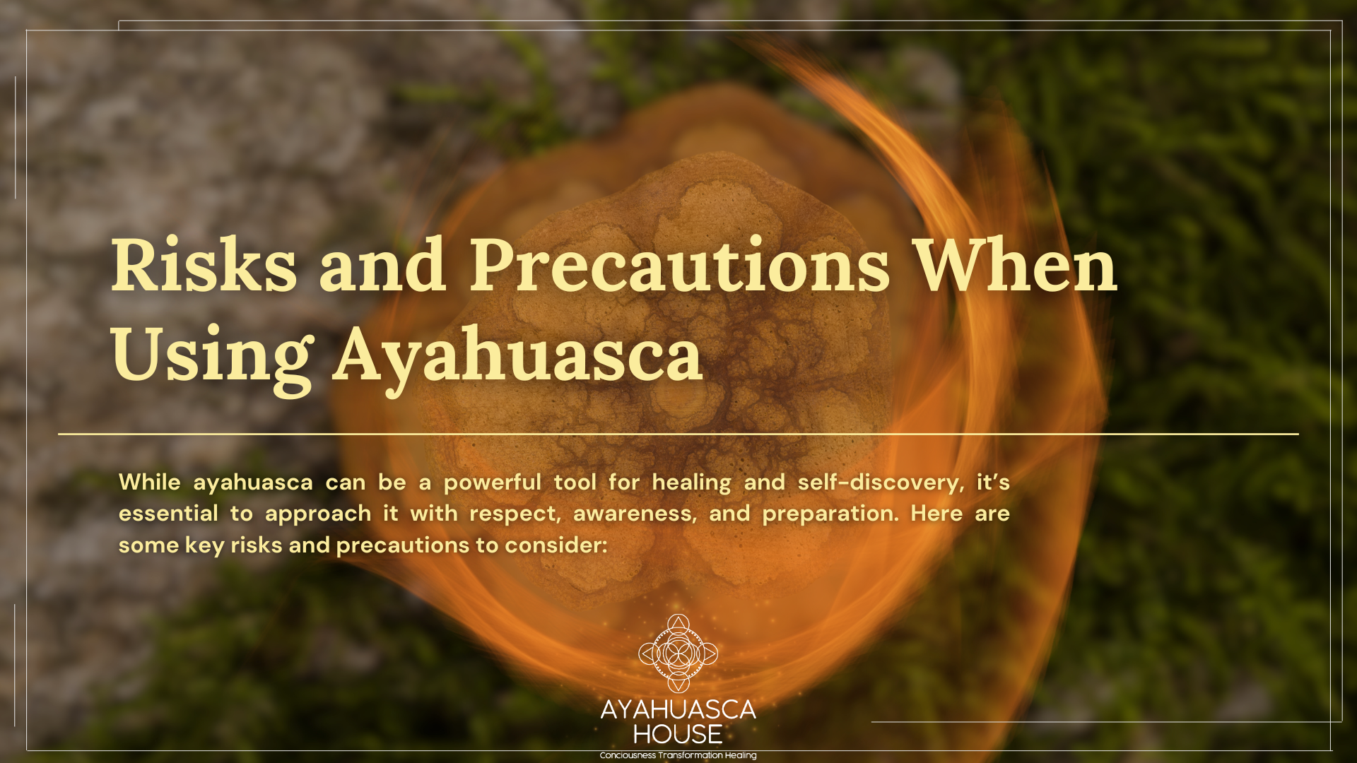 risks-and-precautions-when-using-ayahuasca